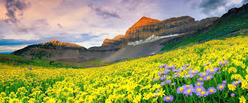 Valley of Flowers & Hemkund Sahib Trek 3