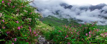 Valley of Flowers & Hemkund Sahib Trek 5