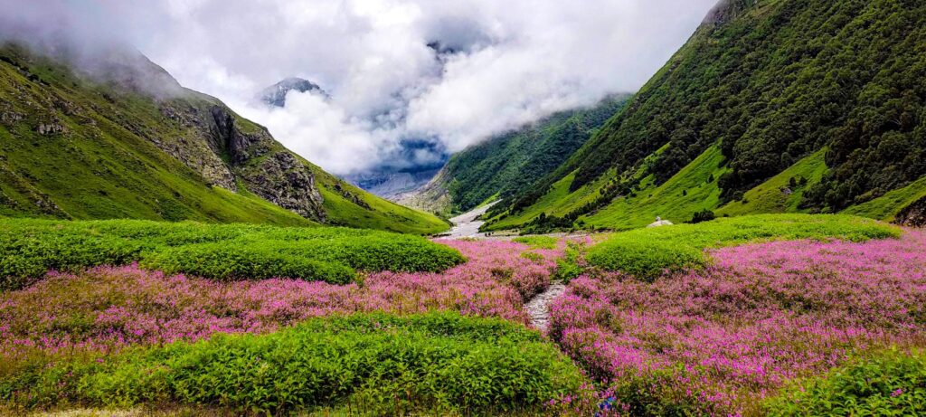 Valley of Flowers & Hemkund Sahib Trek